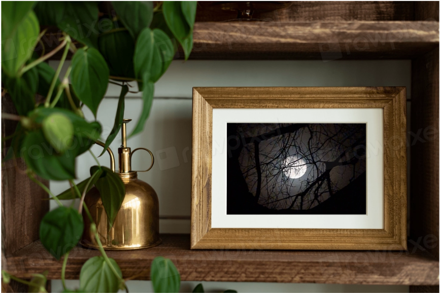 Moon Tree Mockup.png