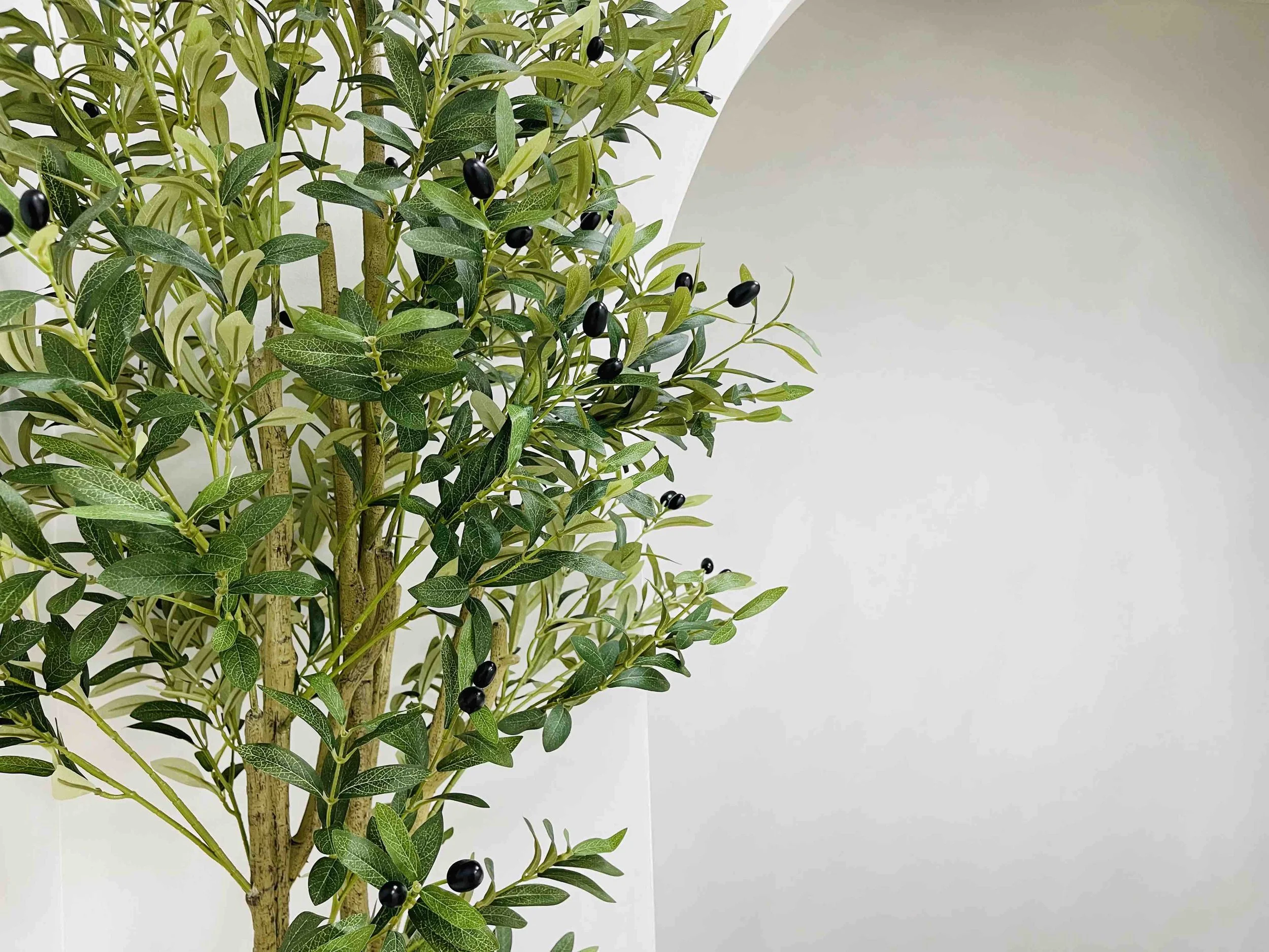 Artificial olive tree with green leaves and black olives inside a room.