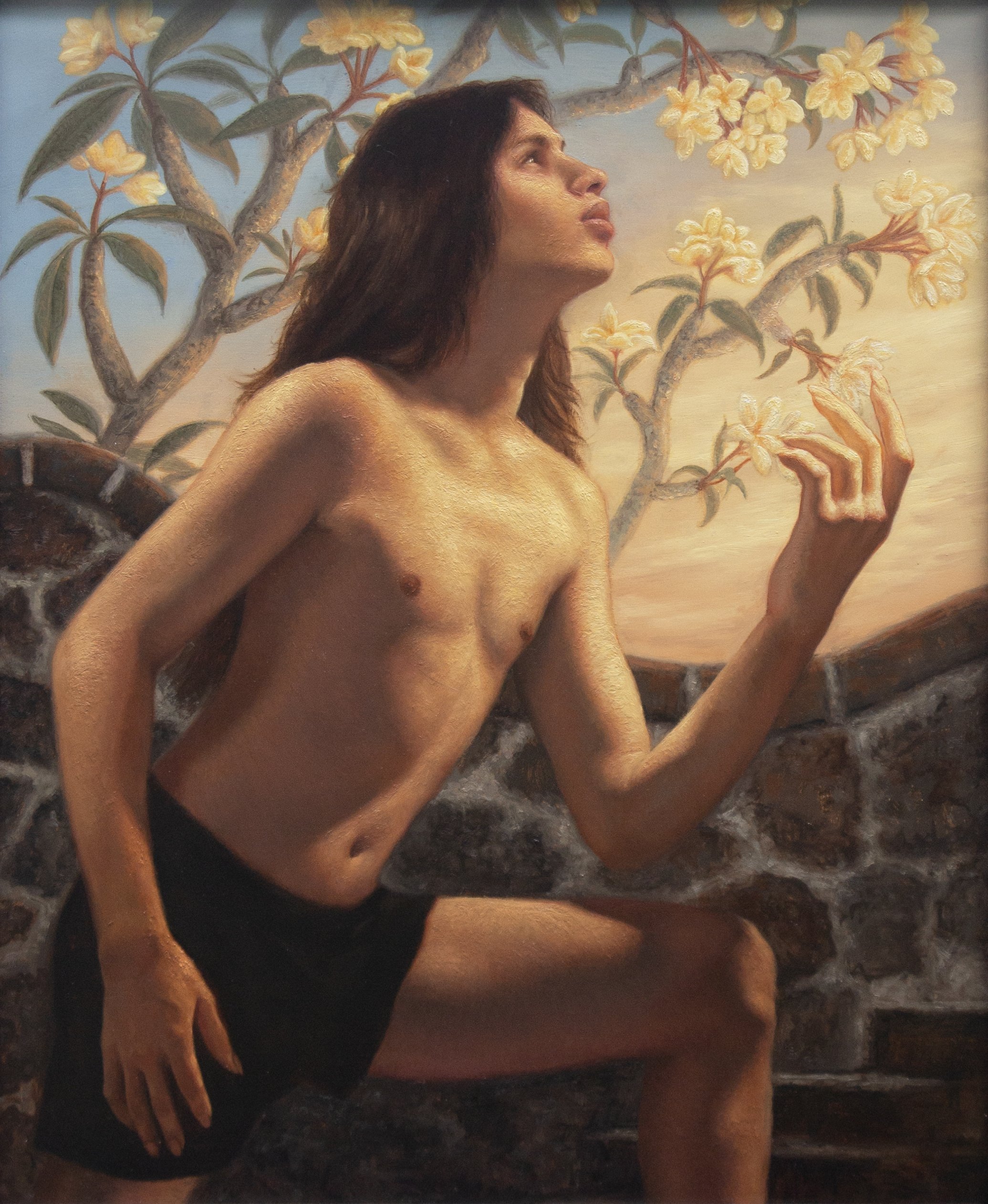 Flor de Mayo frameless.jpg