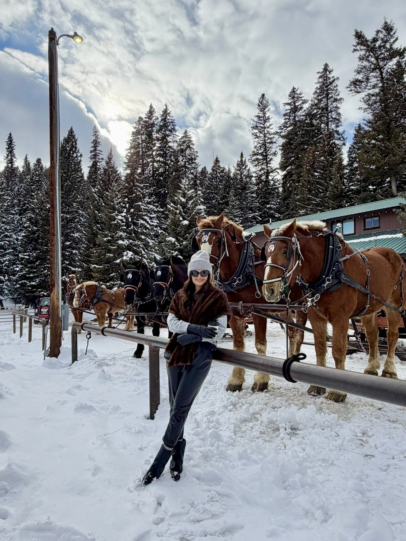 Woman standing in front of a team of horses harnessed for a sleigh ride, in a snowy outdoor setting with evergreen trees and a building in the background.