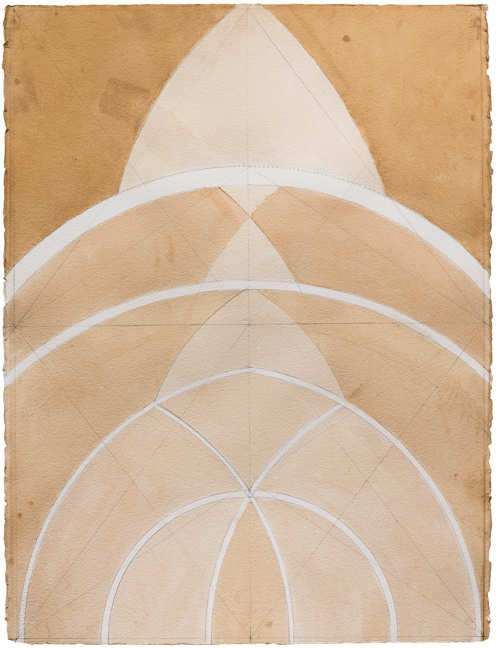 _DSC8082_transparent.png