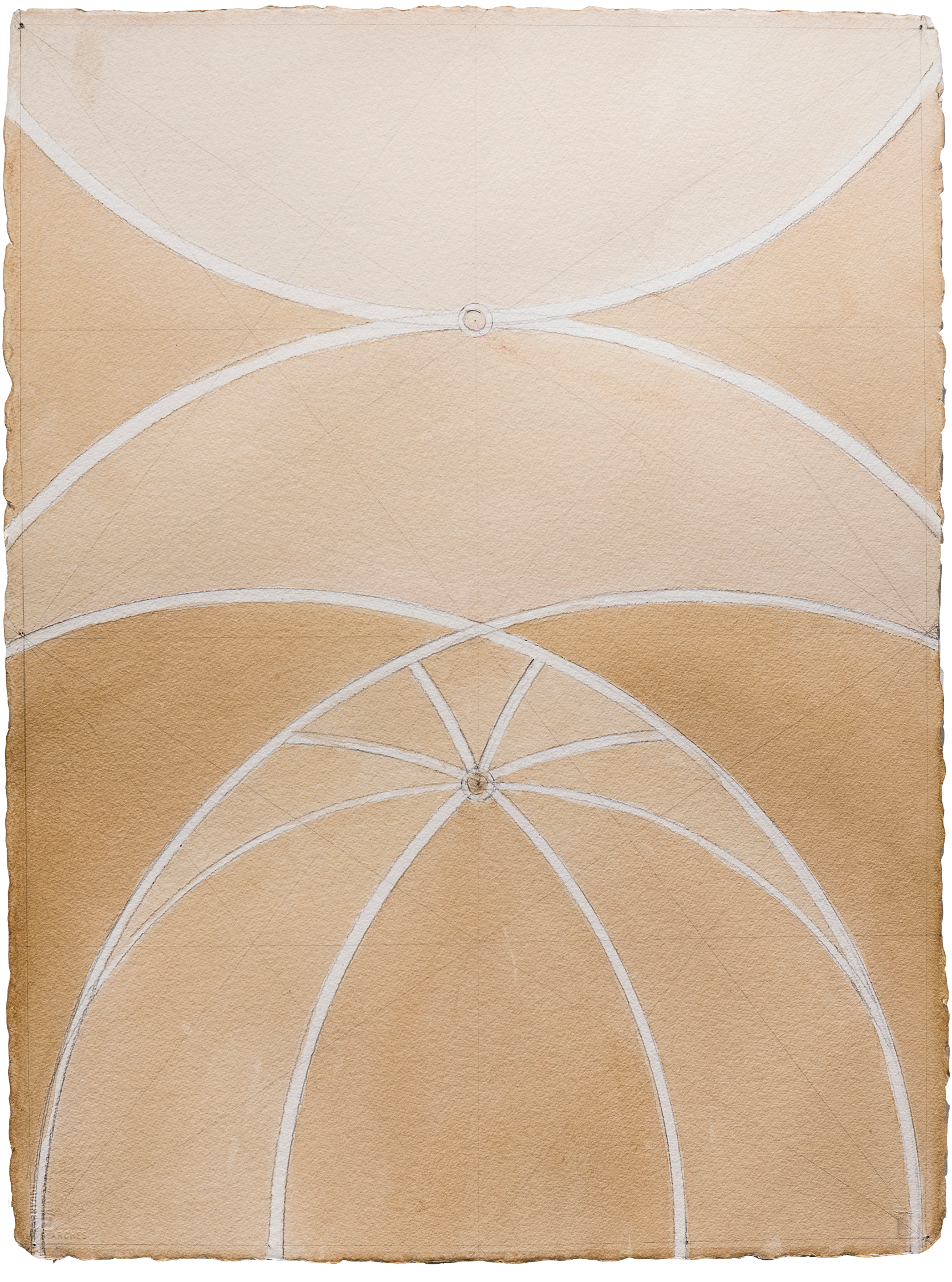 _DSC8083_transparent.png