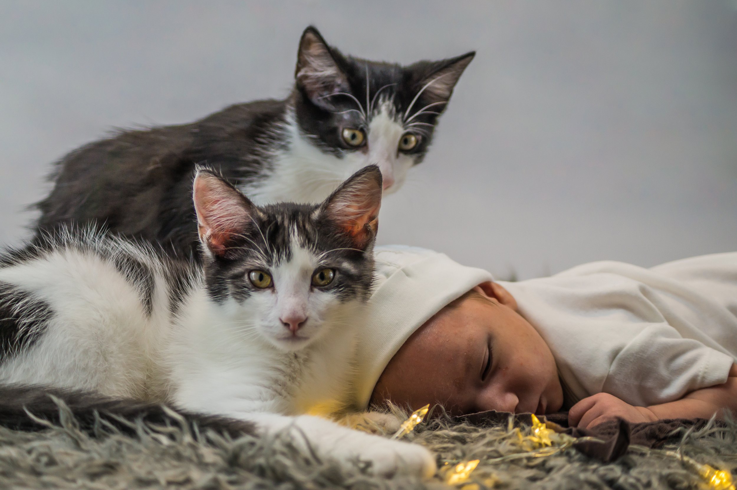 Foto 27.08.23, 16 03 58.jpeg