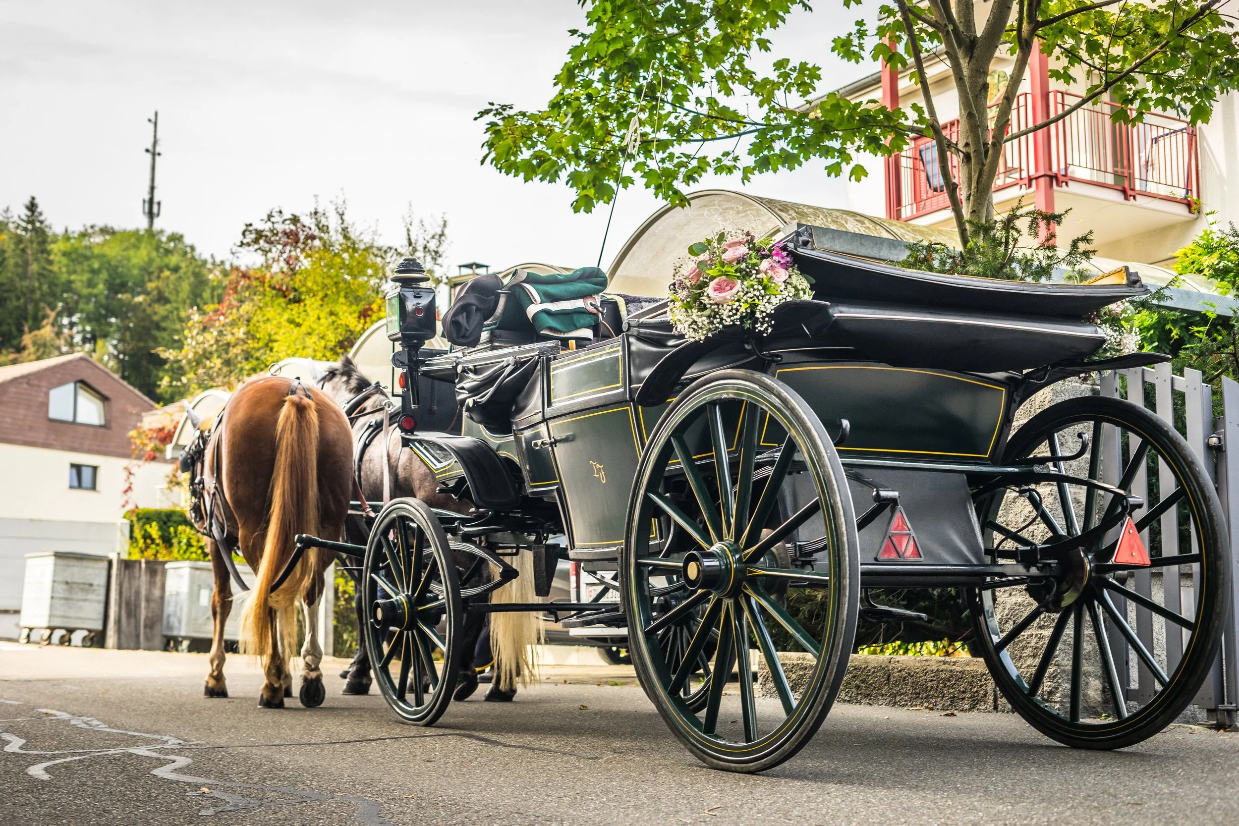 Photo 30.09.2023, 15 00 03.jpeg