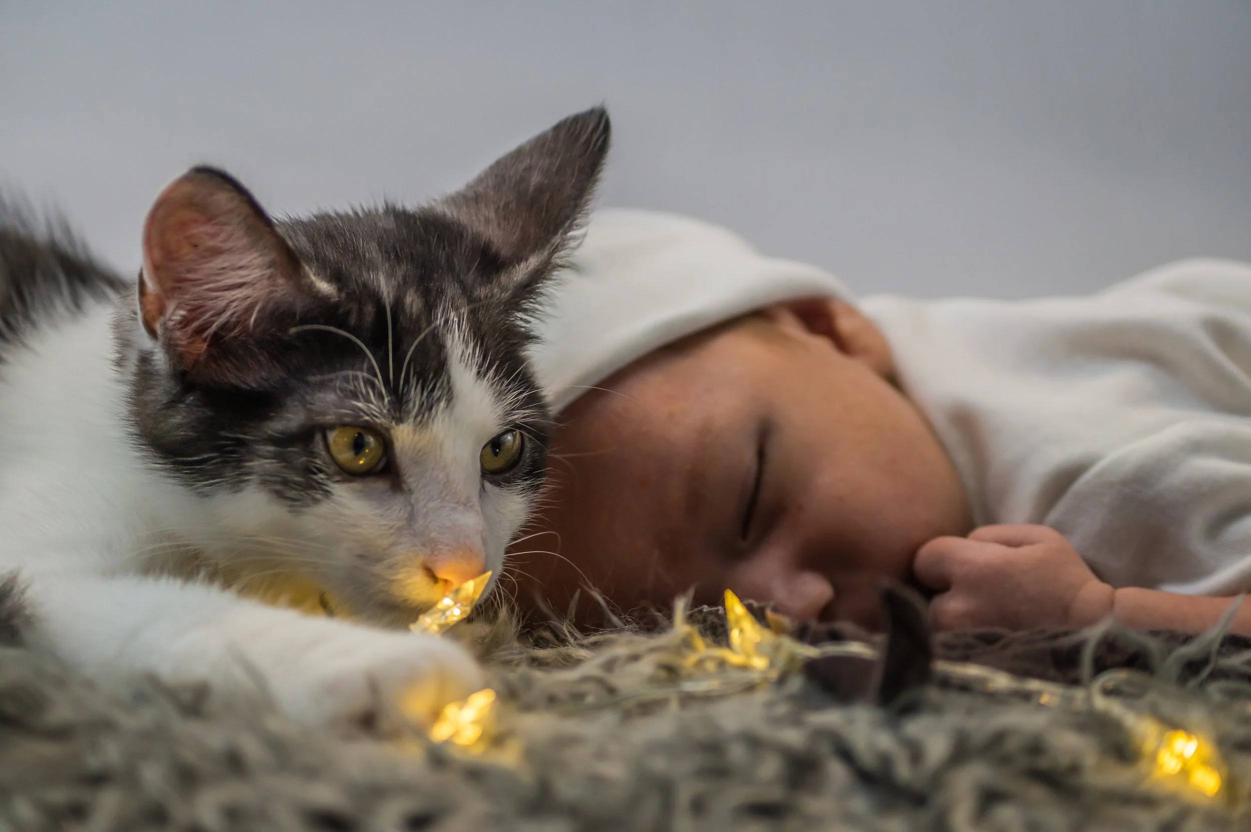 Foto 27.08.23, 16 02 54.jpeg