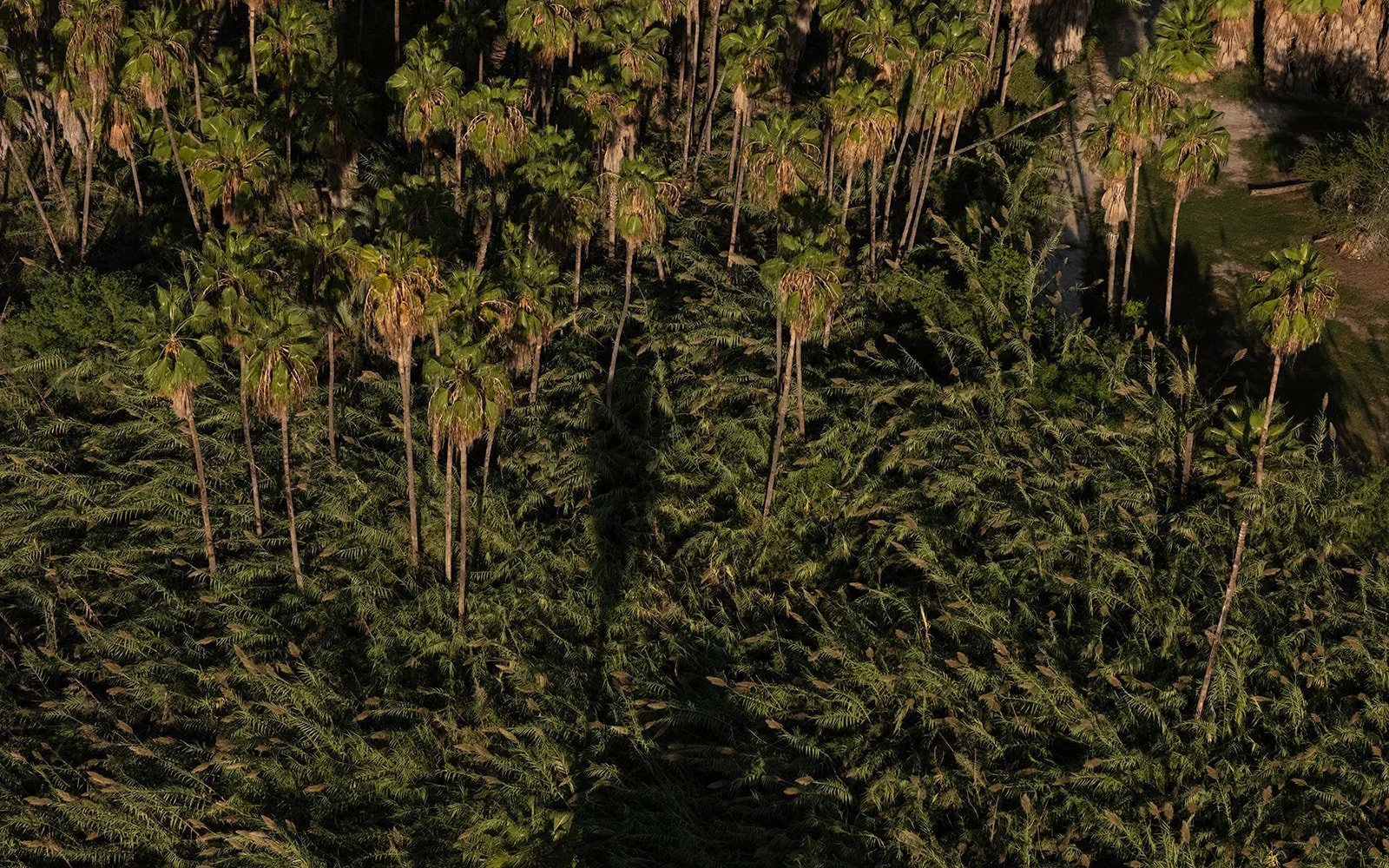 DJI_20240927080804_0613_D.jpg