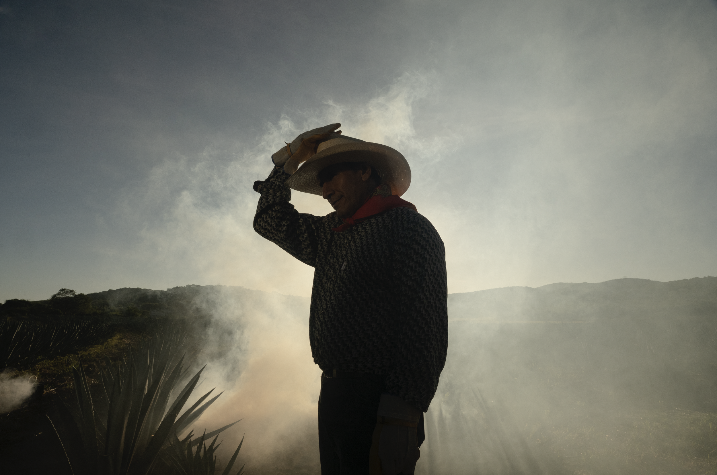 Screenshot 2026-02-04 at 12.07.36 p.m..png