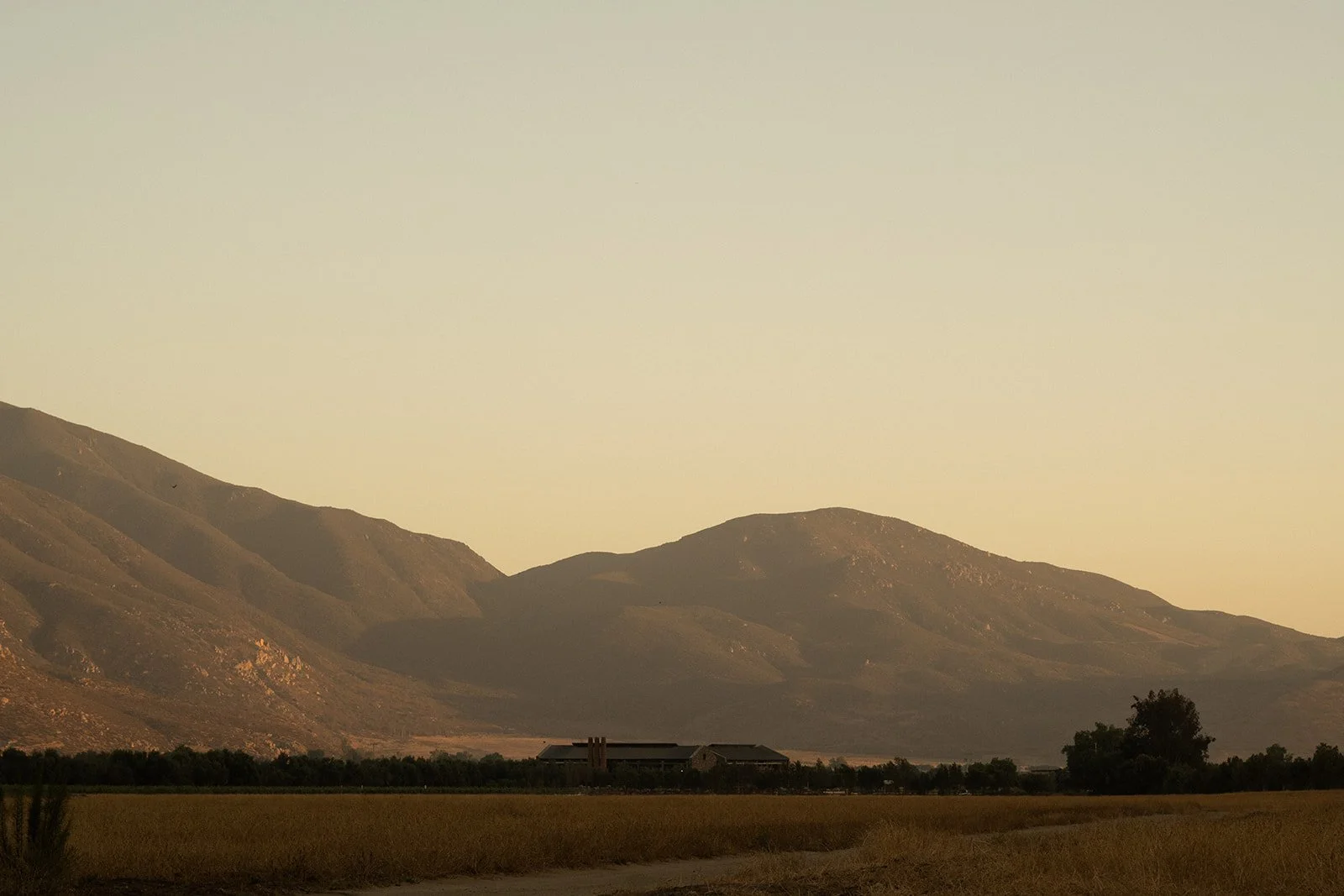 DSC_6240-2.jpg