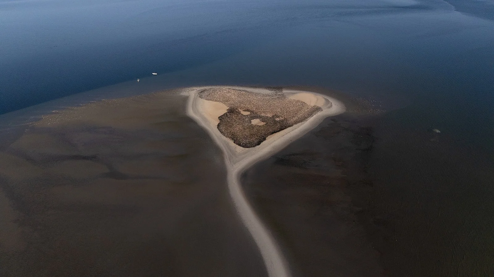 DJI_20260222233926_0071_D.jpg