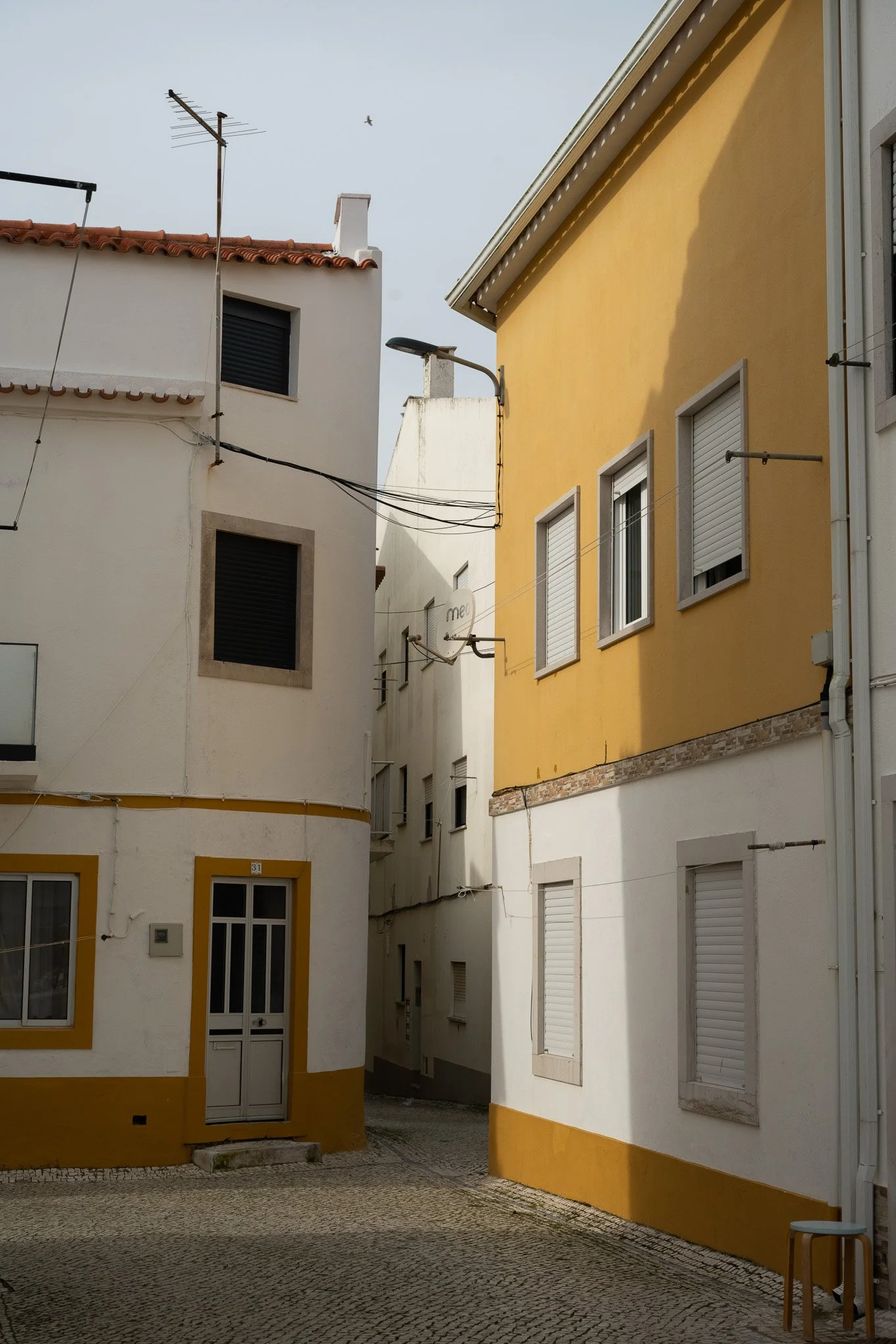 DSC_3505.jpg