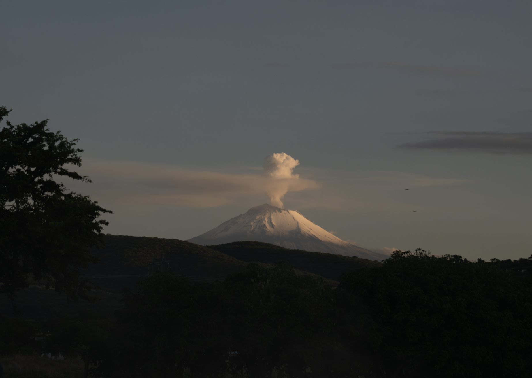 Screenshot 2026-02-04 at 12.32.36 p.m..png