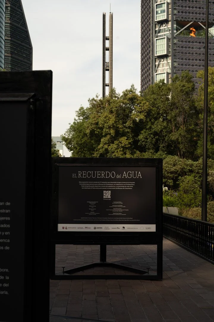 DSC_1823.jpg