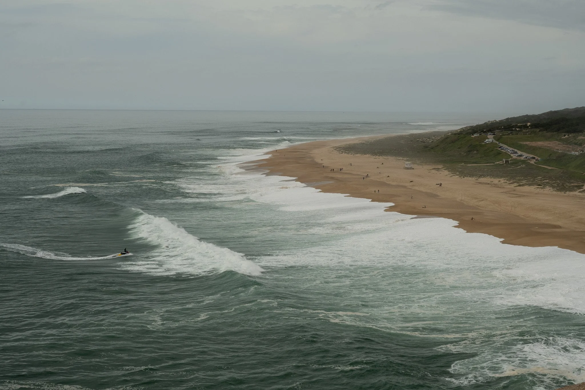 DSC_3529.jpg