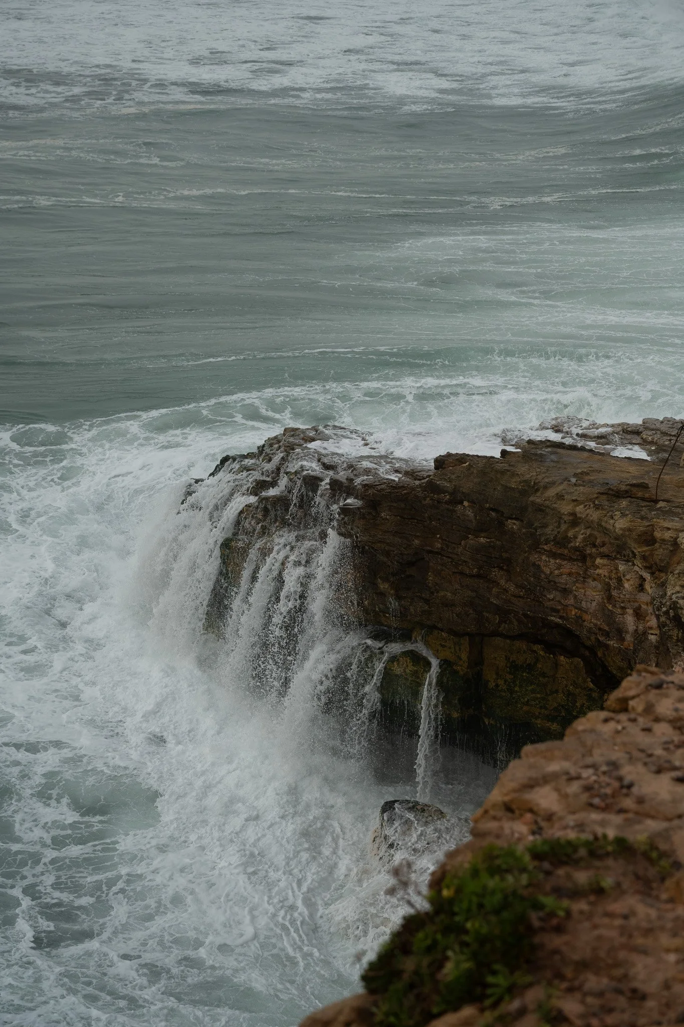 DSC_3587.jpg