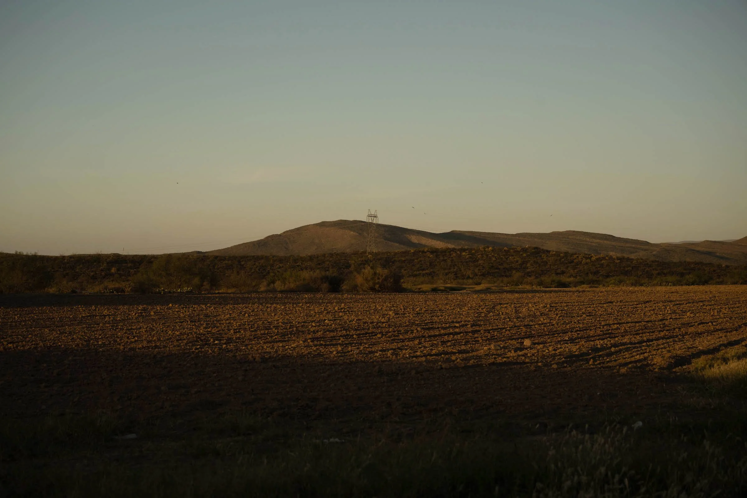DSC_3659.jpg
