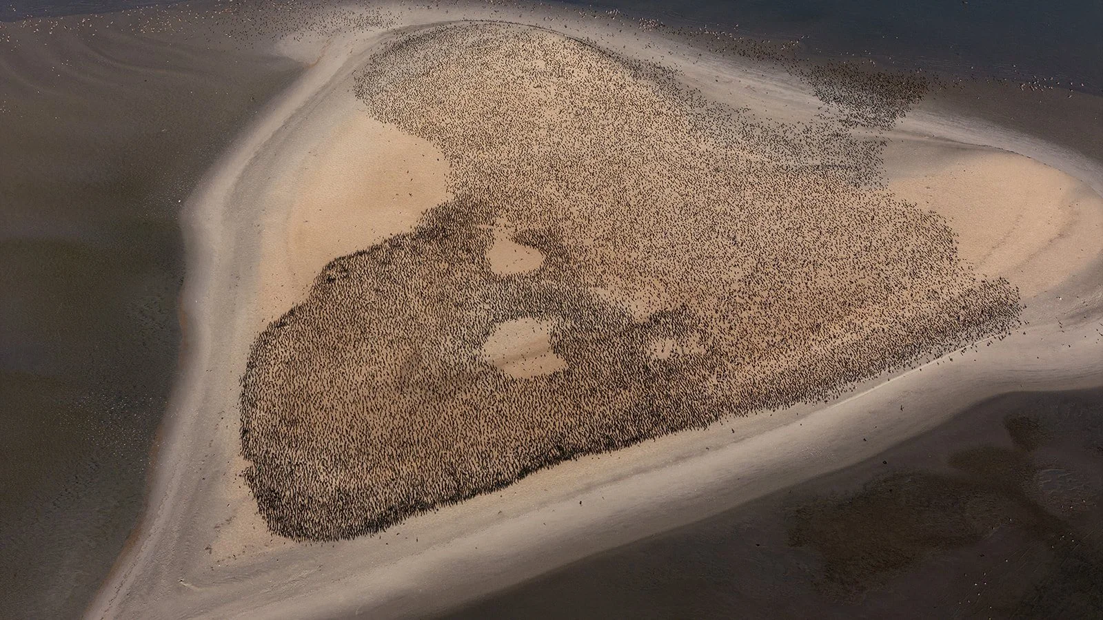DJI_20260222233455_0059_D.jpg
