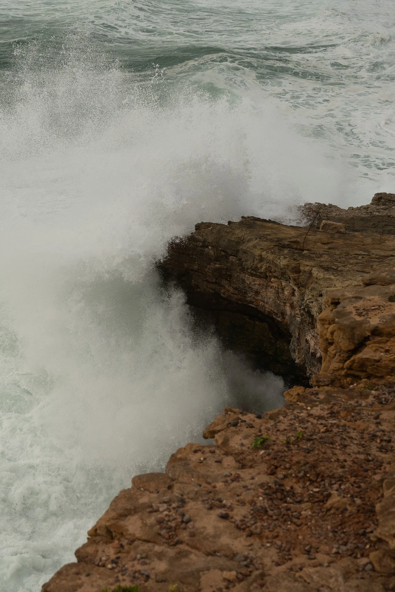 DSC_3590-2.jpg