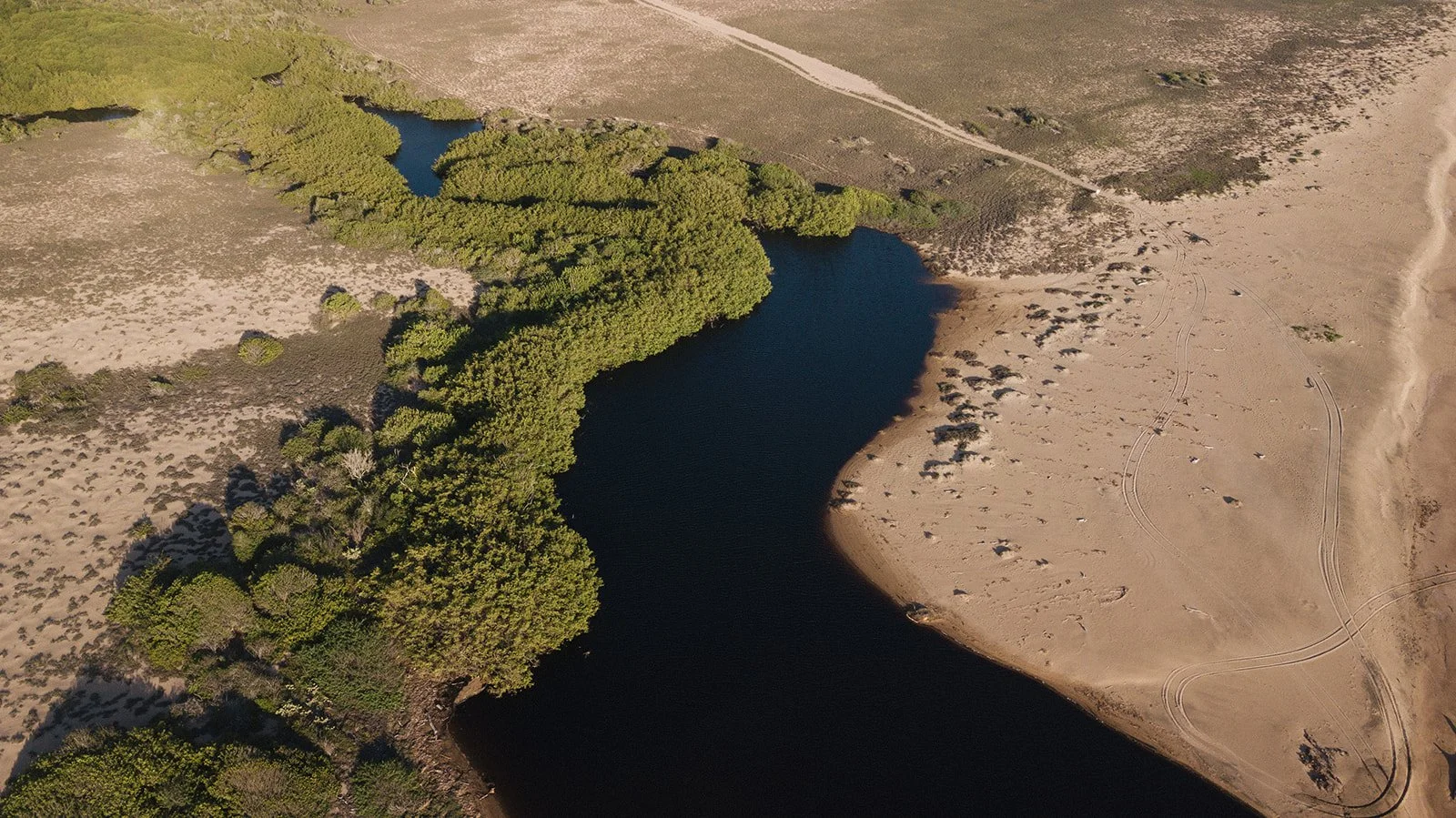 DJI_0610.jpg
