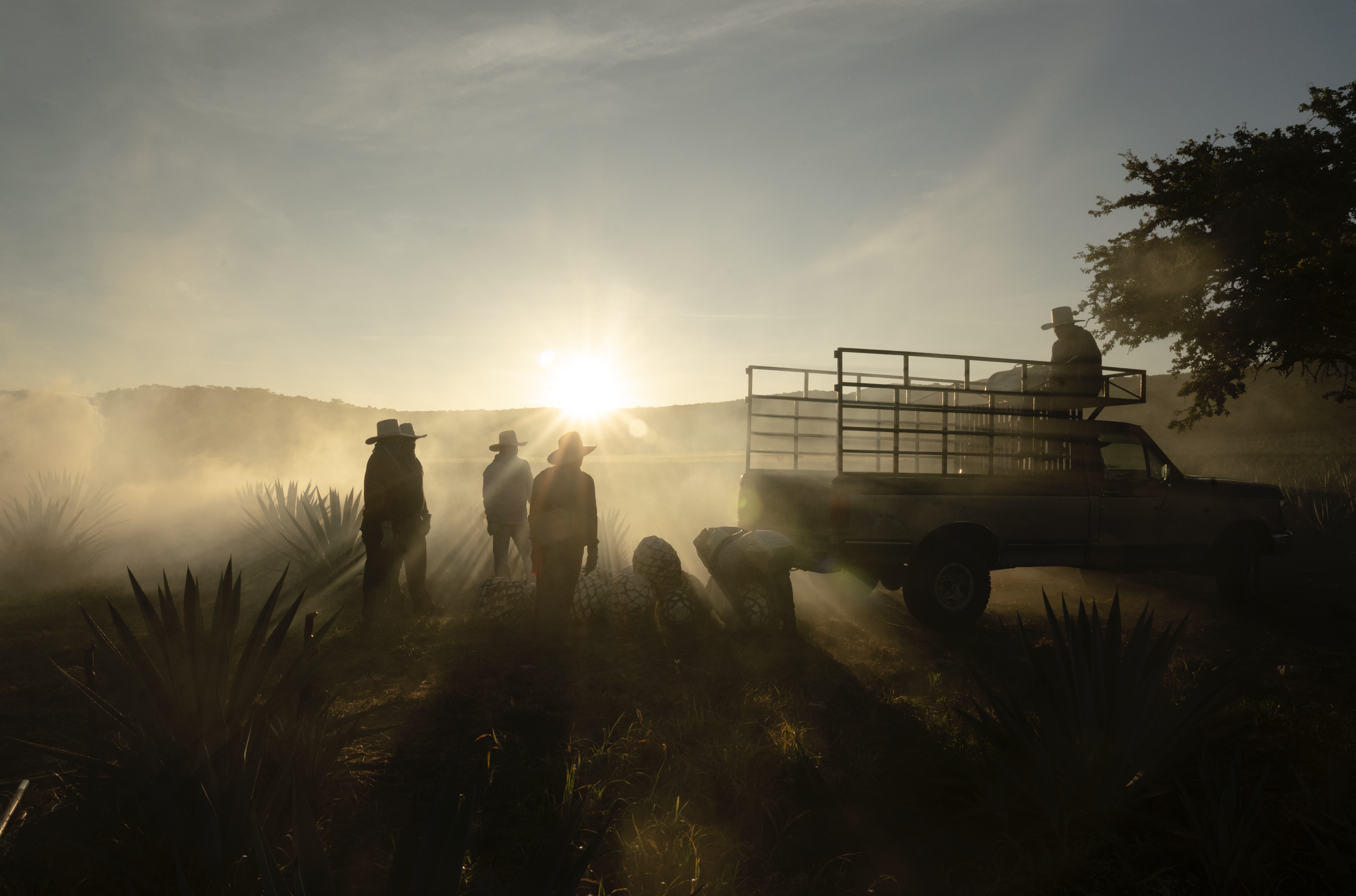 Screenshot 2026-02-04 at 12.07.57 p.m..png