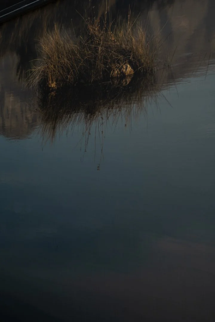 DSC_1857.jpg