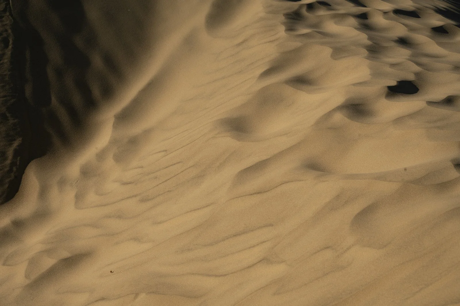 DSC_8455.jpg
