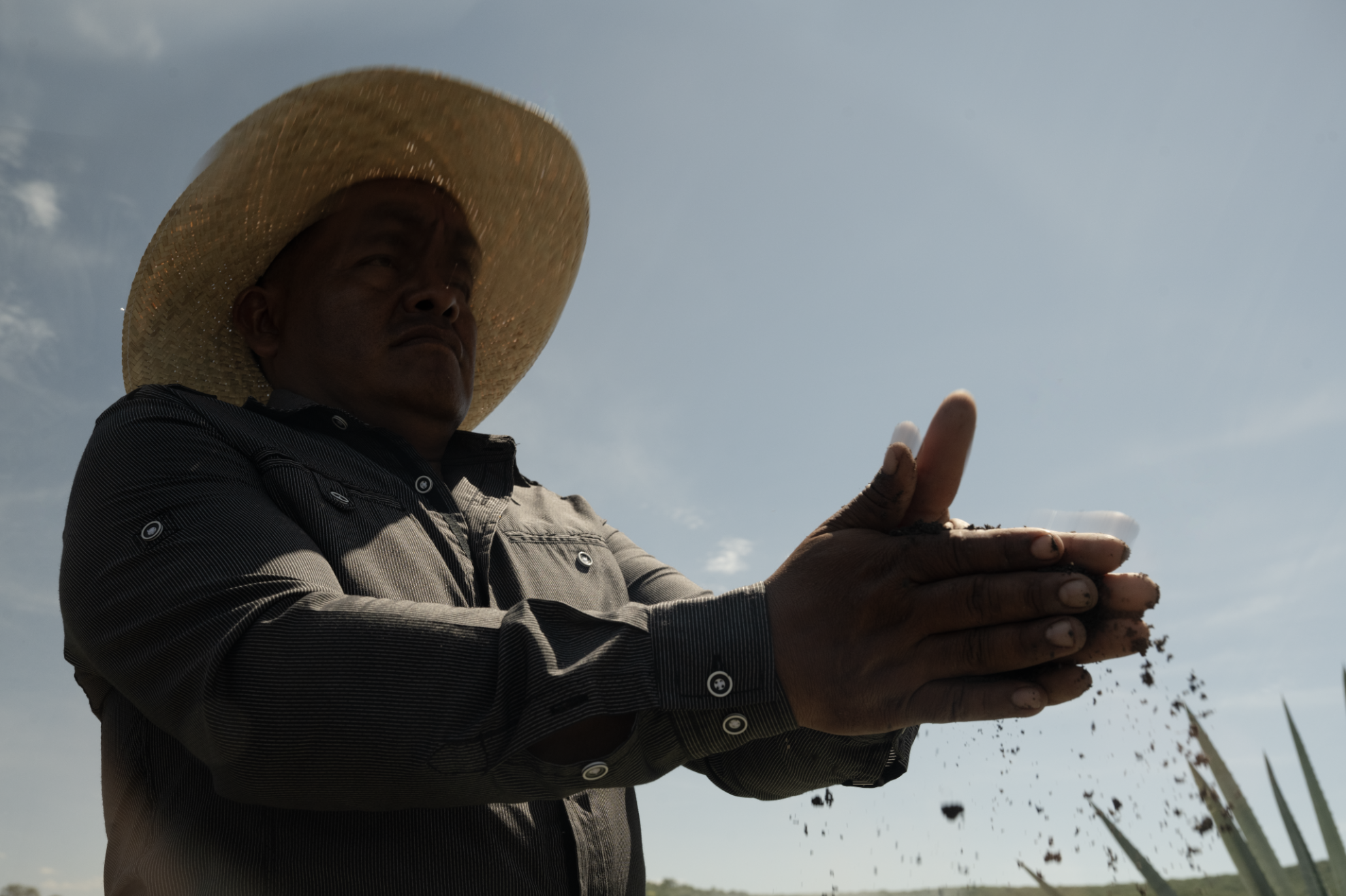 Screenshot 2026-02-04 at 12.31.09 p.m..png