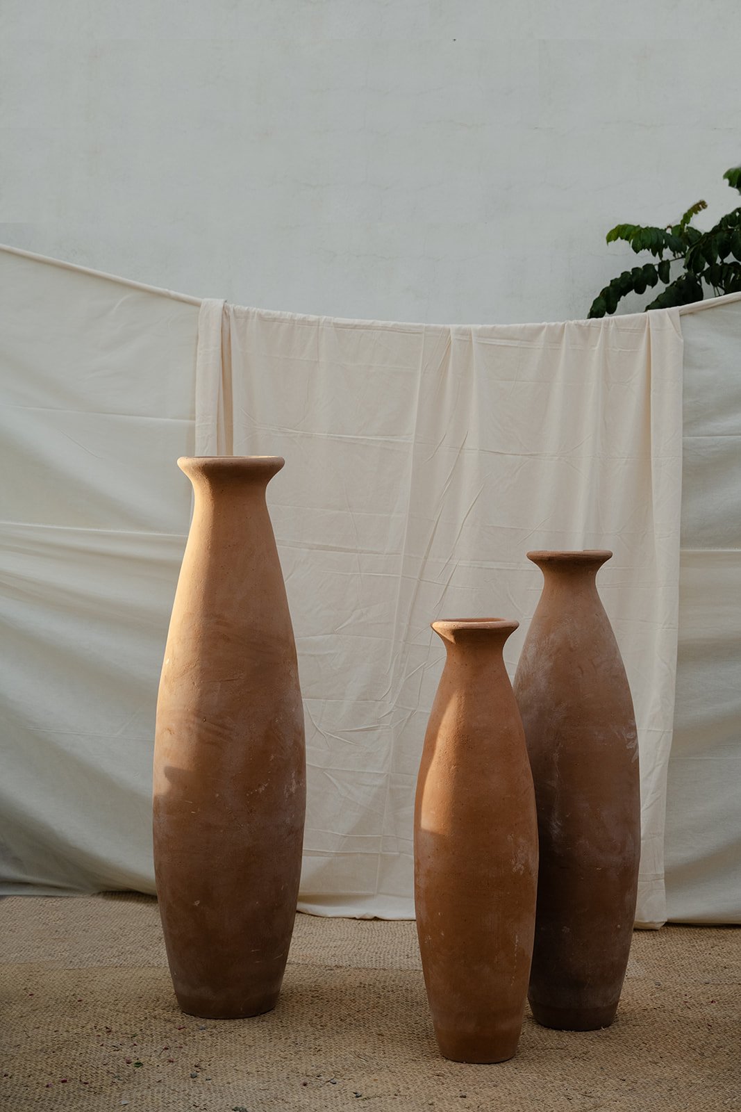 DSC_5272.jpg