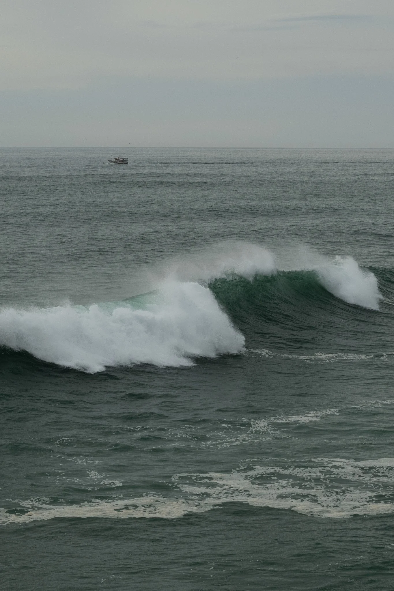DSC_3569.jpg