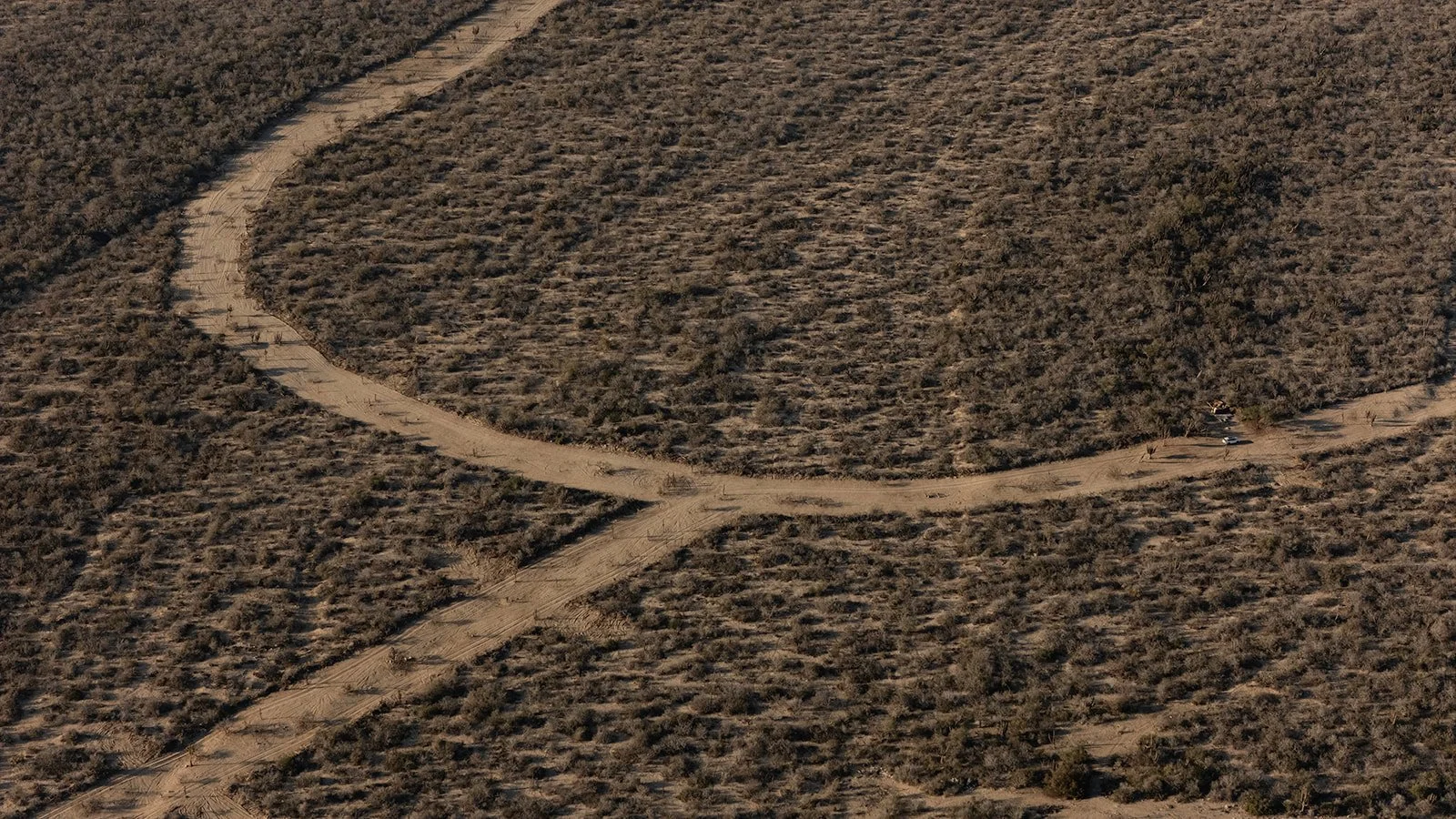 DJI_20250523084636_0241_D.jpg