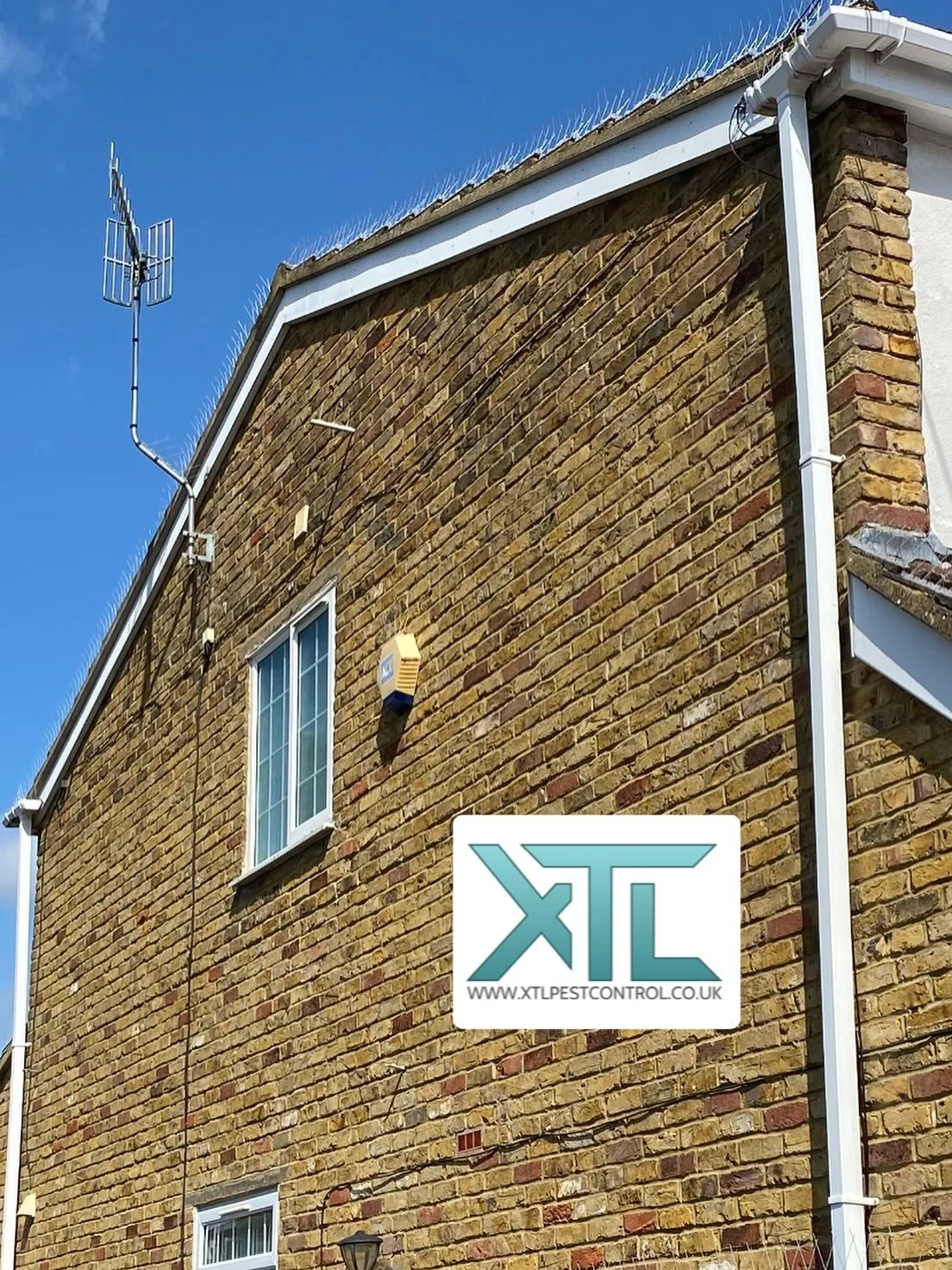 Bird proofing this house today with stainless steel spikes along the ridge and sloping roof edges to prevent roosting birds that were causing a mess along the side entrance to the house.
#birds #pigeons #magpies #birdproofing #birdspikes #pestcontro