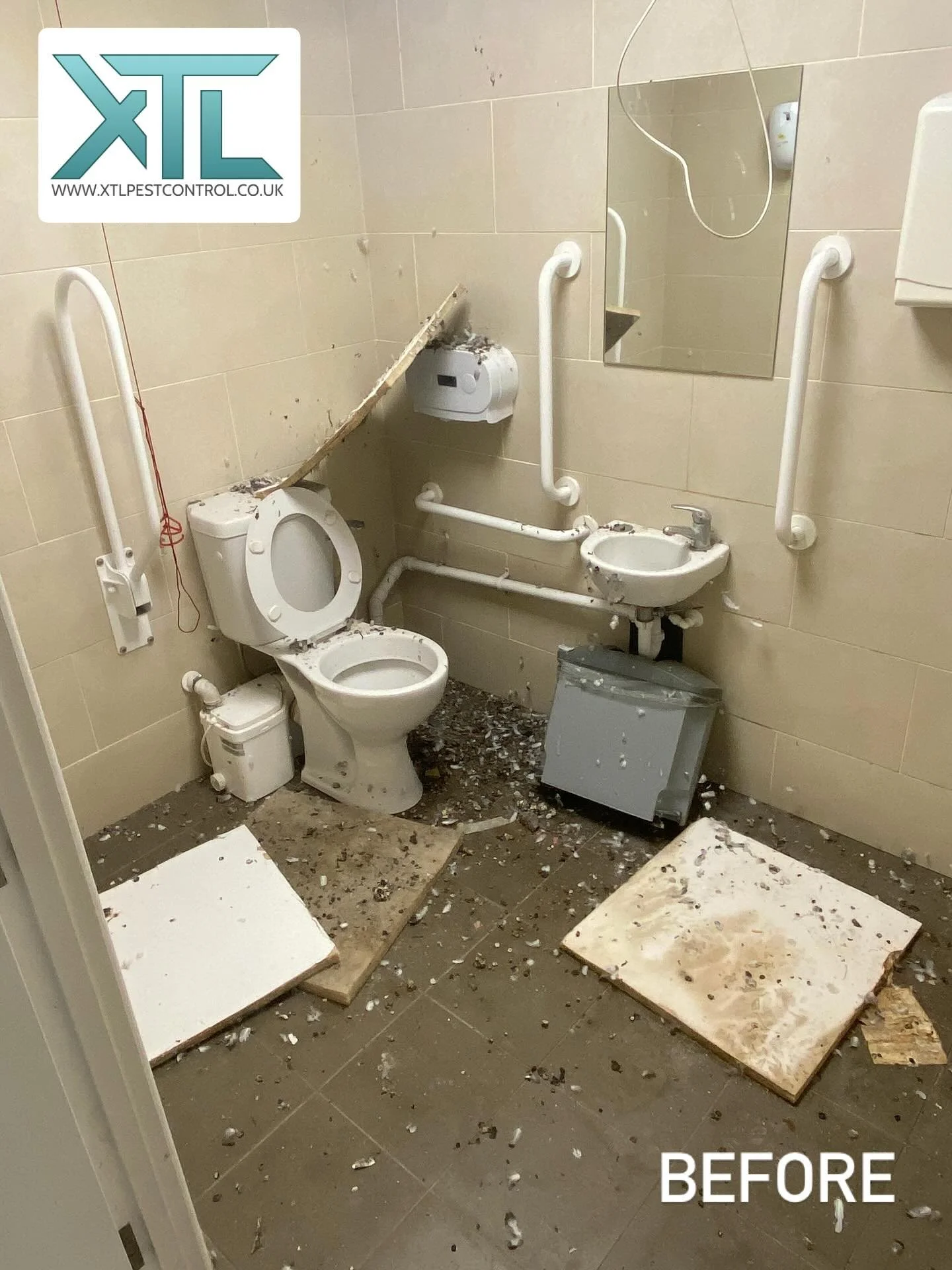 Pigeon guano cleanup carried out this week, 1500 contaminated ceiling tiles removed and disposed of, electrical room, restroom, and offices cleaned 🐦💩😷

#pigeons #pestcontrol #birdcontrol #biocide #xtlpestcontrol #birds #pests #cleaning