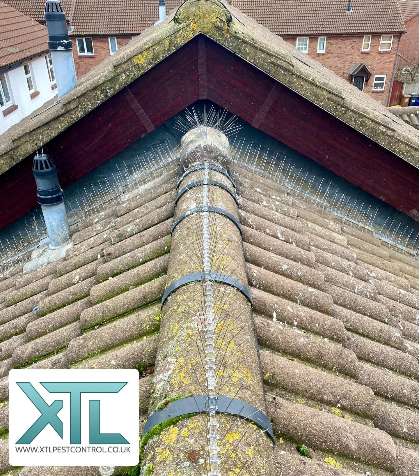 #pigeons #pigeonspikes #pestcontrol #birds #xtlpestcontrol #hertfordshire #pests #birdcontrol #birdcontrolservices