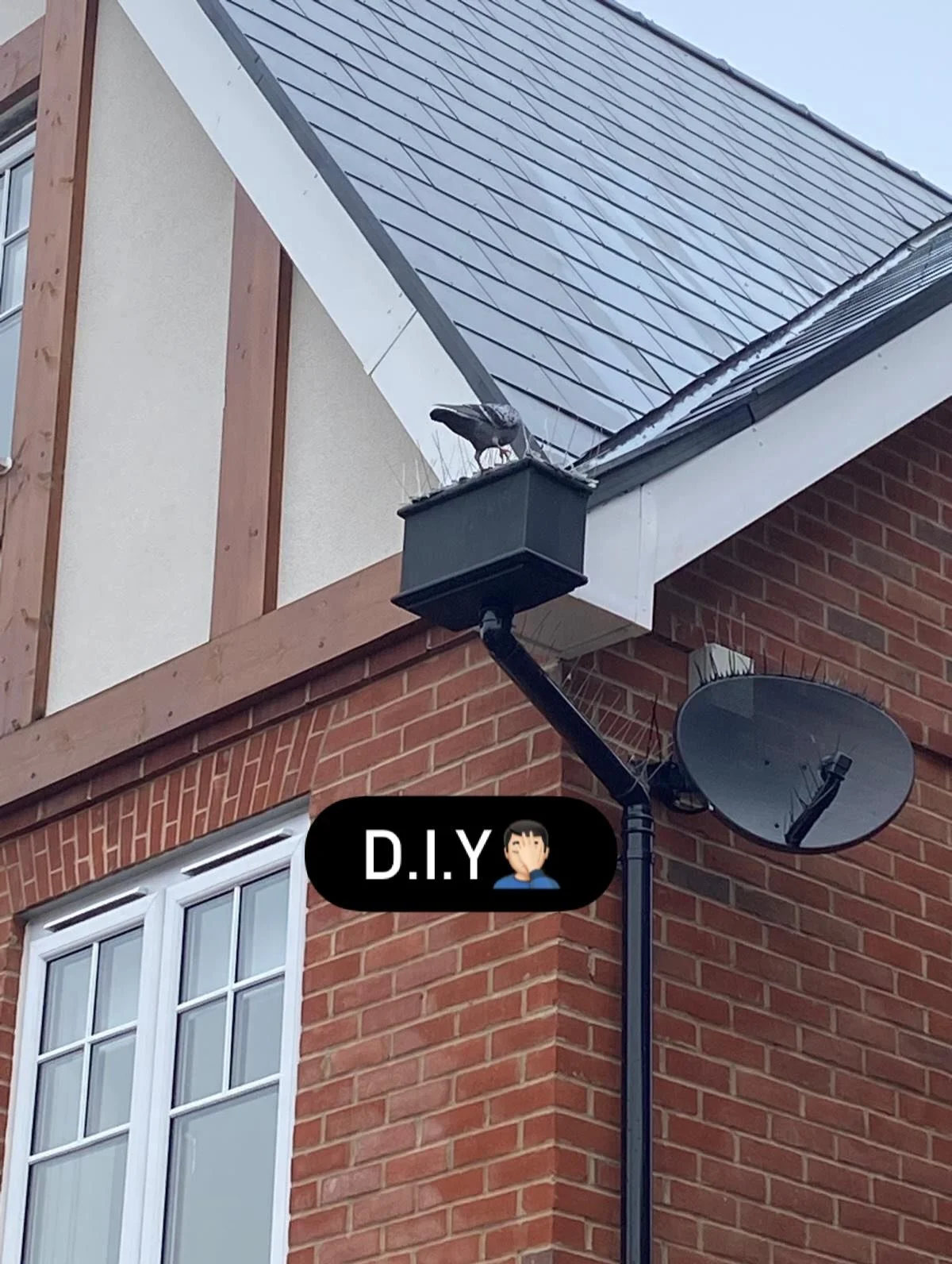 This is an example of why it&rsquo;s best to call in the professionals ❌ 🐦 🥚 

As simple as it seems to just throw up some spikes and hope for the best, it&rsquo;s from years of experience that us pest controllers get to know the ins and outs of ma