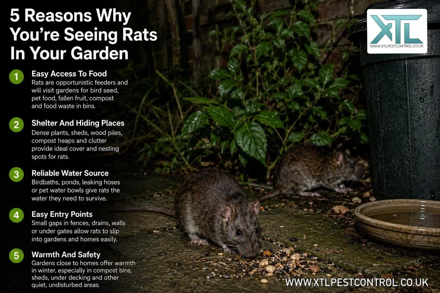 Are you seeing rats in your garden? Heres a few reasons why..

#rats #garden #xtlpestcontrol #pestcontrol #hertfordshire