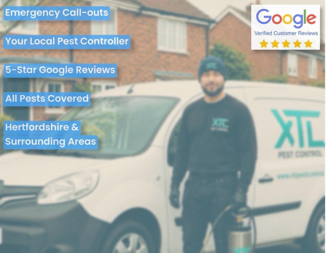 Pest control in hertfordshire
