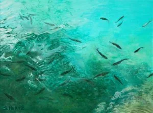 Sue Hertz - 

Ithaca, New York. "Fish from Above" 
Oil on canvas
24 x 18 in