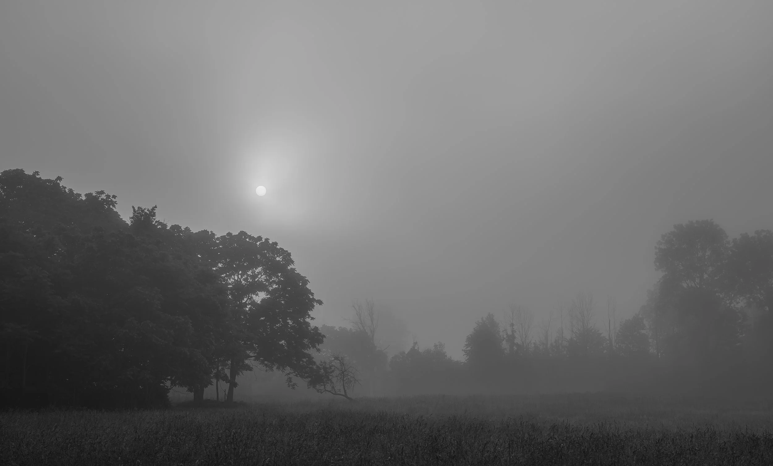 David Archibald - 
Middleport, New York.  "Morning Fog"
Archival print
19 x 13 in
