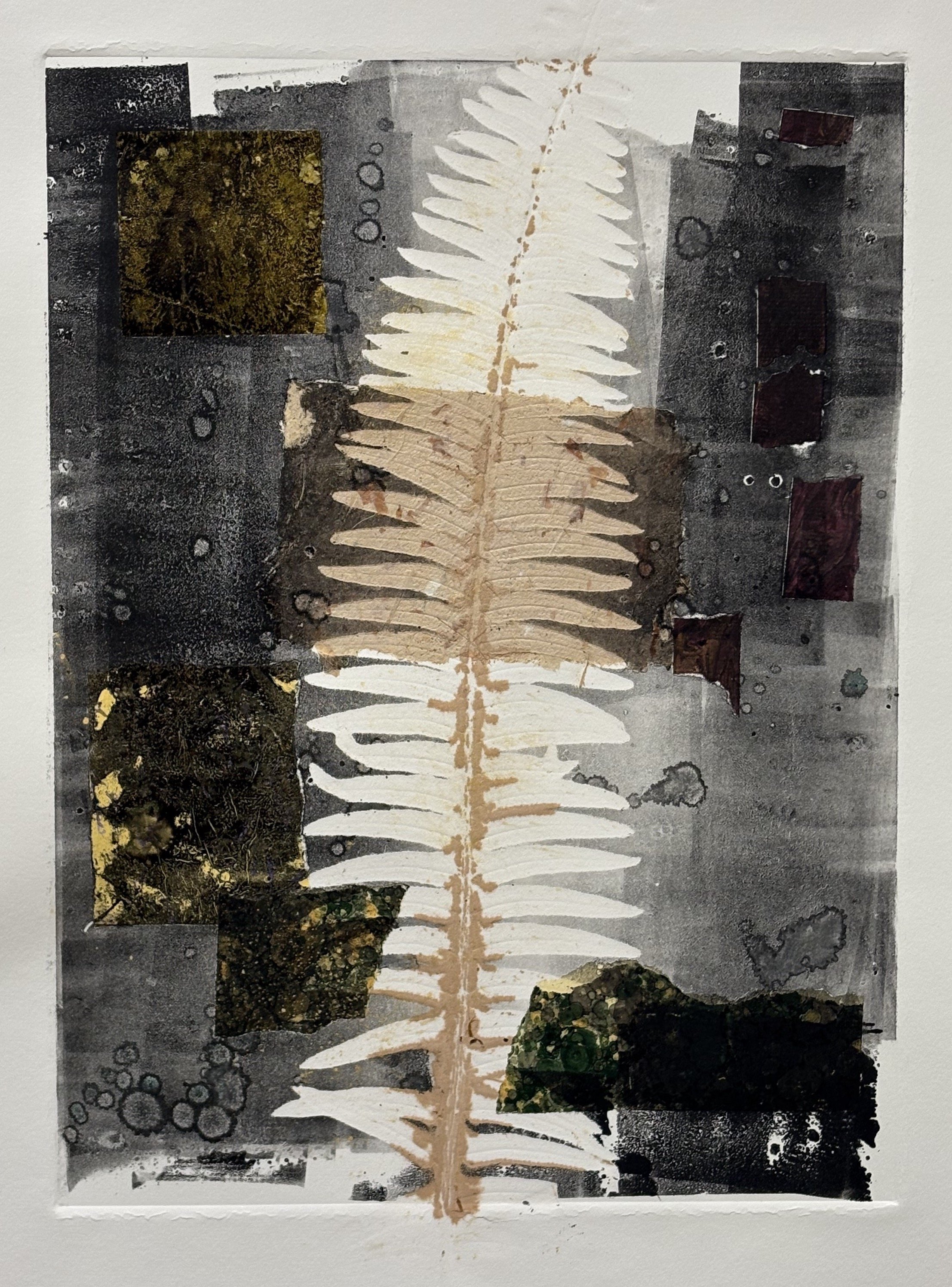 Denise Owen - Oakland, California - “Sword Fern” 
Mono-type with collage on paper.
15 × 22 in