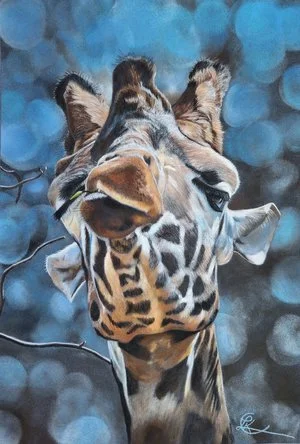 Lisa Clark - 

Pennsylvania. "High Forage" 
Pastels
9.75 x 12.25 in