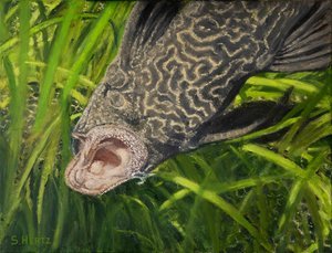 Sue Hertz - 

Ithaca, New York. 
"Say Ah" 
Oil on canvas
20 x 16 in