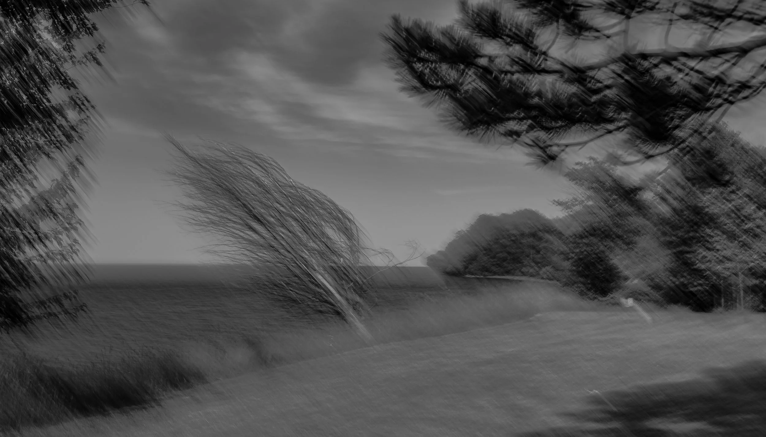 David Archibald - 
Middleport, New York. 
"Windy"
Archival print
19 x 13 in