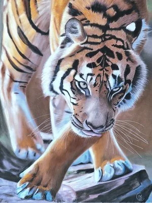 "The Prowl" Pastels. 9.75 x 12.25 in by 2nd Place winner, Lisa Clark in Animal Kingdom Exhibition