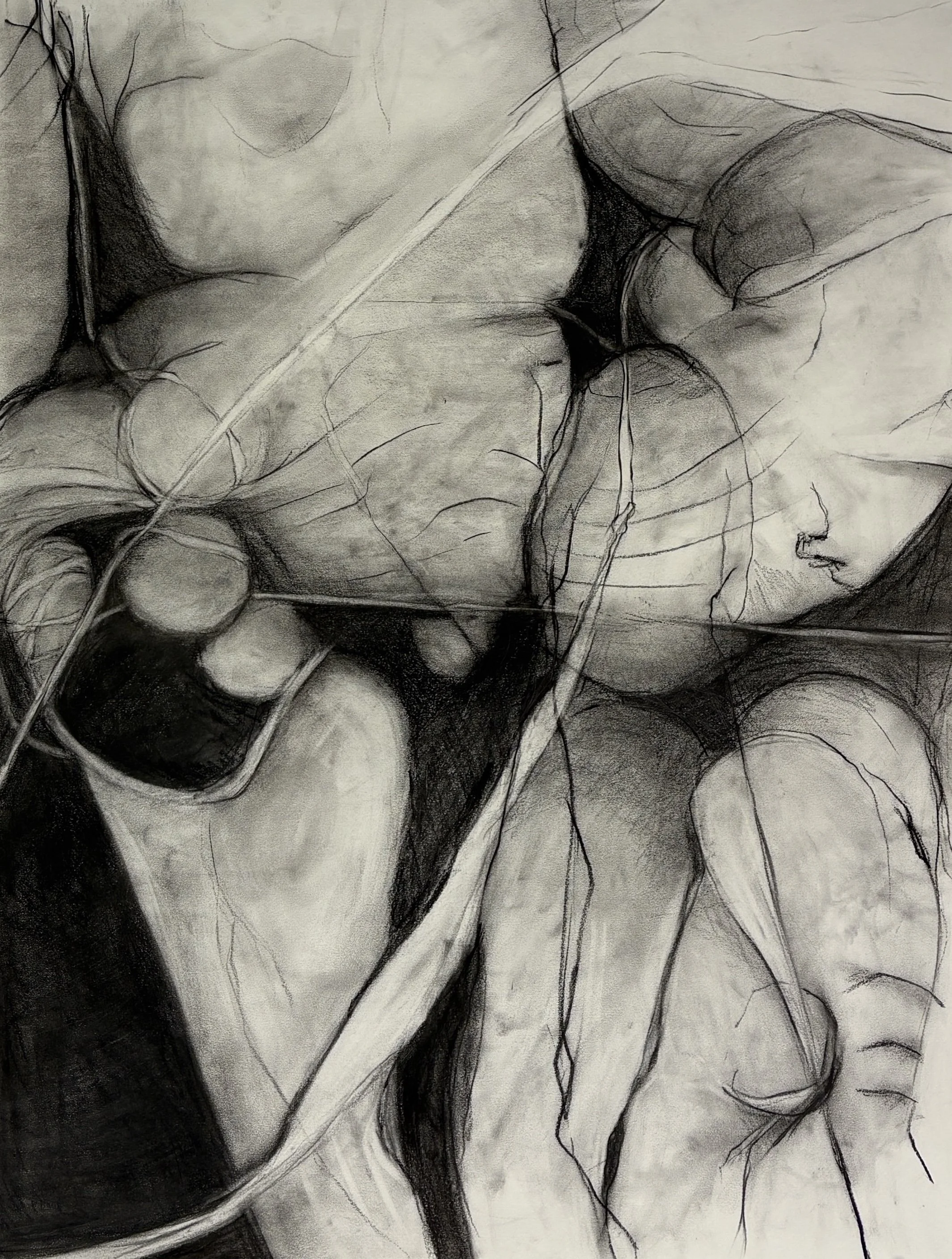 Denise Owen - 
Oakland, California. “The Ties that Bond”
Charcoal on paper
18 x 24 in
