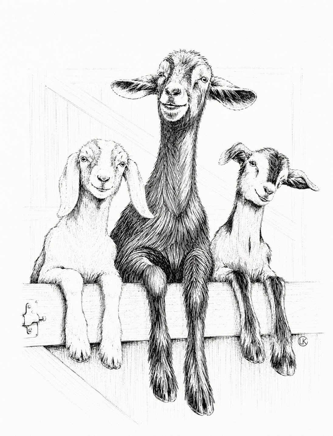 "Barn Door Curiosity," 8.25 x 11.5 in, Pen and Ink 