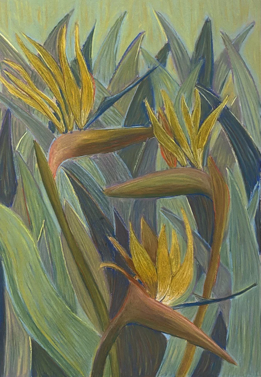 Iuliia Shapoval
California
"Strelitzia”
Pastel
24 x 18 in