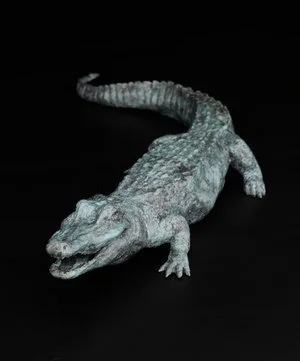 Kathie Cox - 

Athens, Texas. "El Alagarto" 
Bronze
21 x 4 in