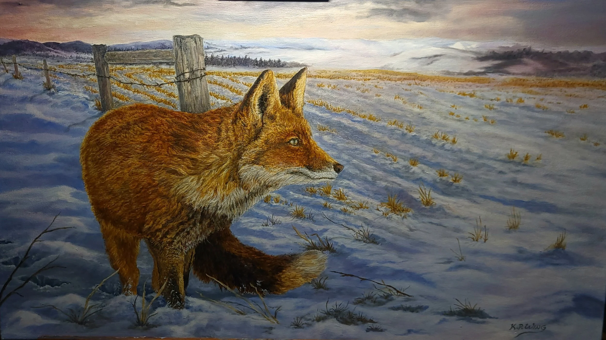 “Fox in Field,” 28 x 16 in, oil on canvas