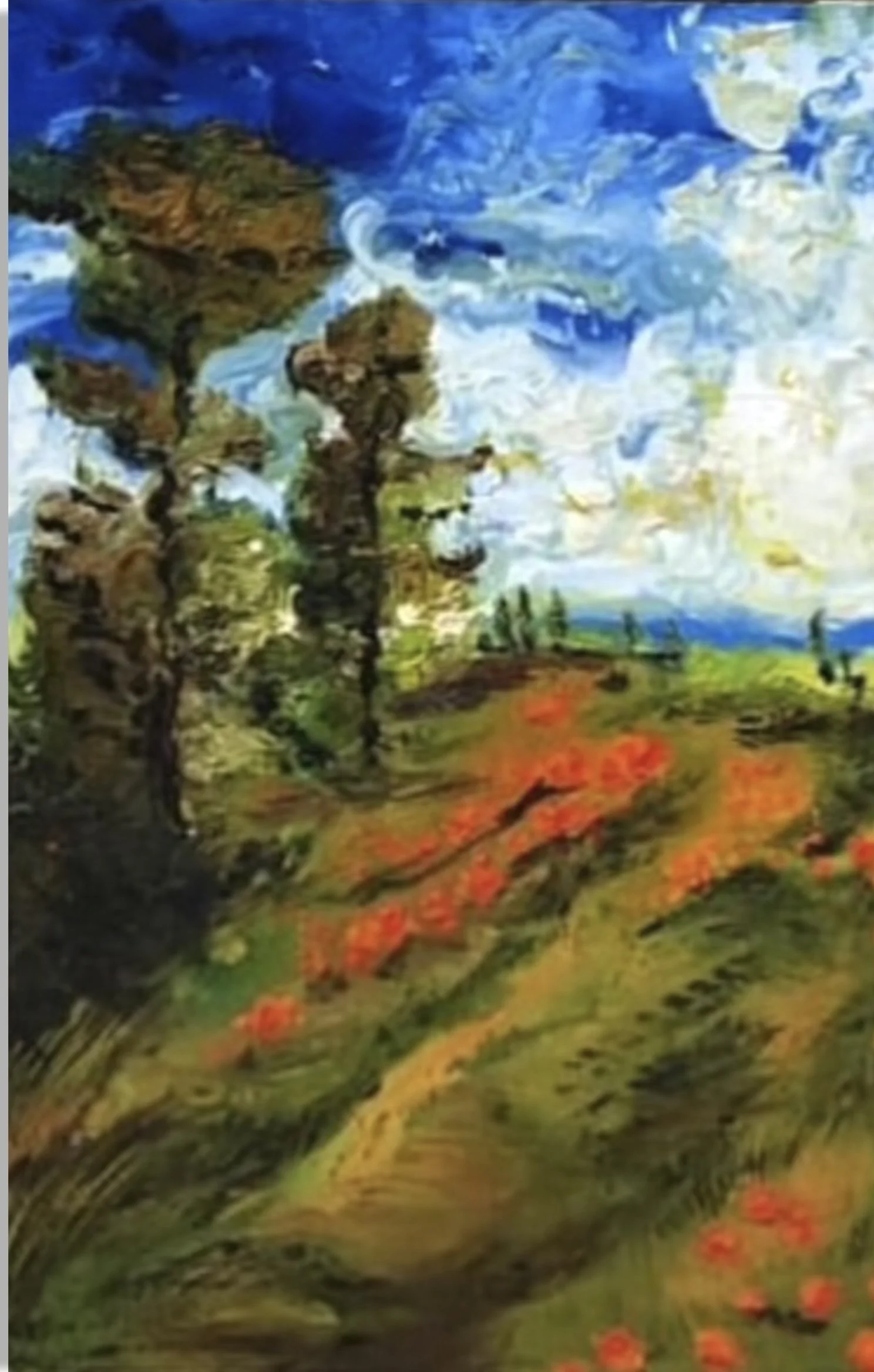 "The Field" 61 cm x 91 cm, oil on canvas