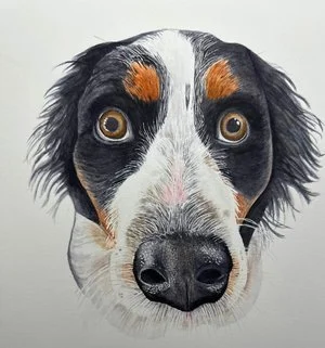 Teri Goetz - 

Millerton, New York. "Hopeful" 
Watercolor on paper, framed
9.5 x 11 in