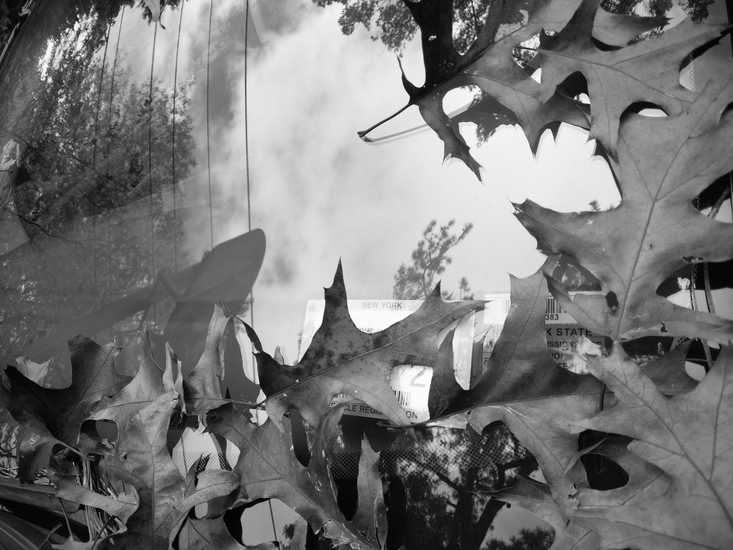 Bonnie Bredes - 
Ridge, New York. "What the Window Keeps Fine Art"
Fine Art Photograph
20 x 16 in